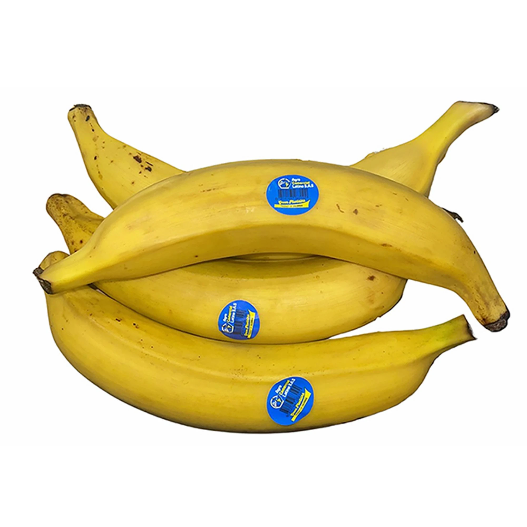 Plantain 22 kg – Frais et de Qualité